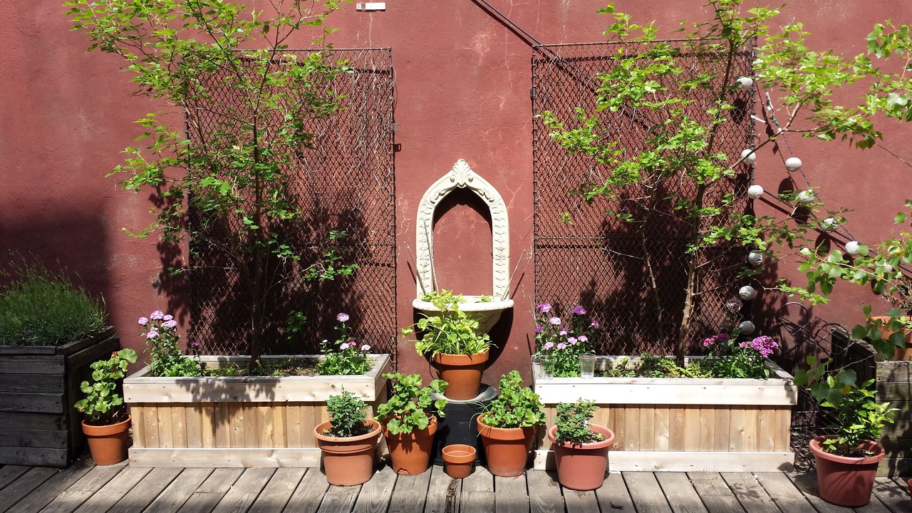 Photo of Outdoor in Chelsea