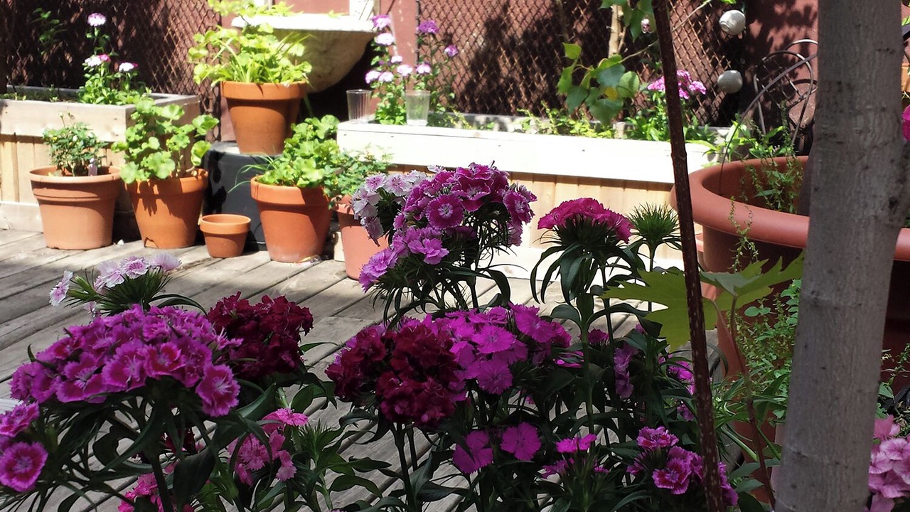 Photo of Outdoor in Chelsea