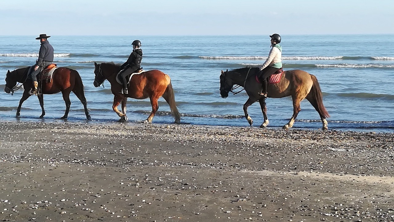 Photo of Others in Porto Tolle
