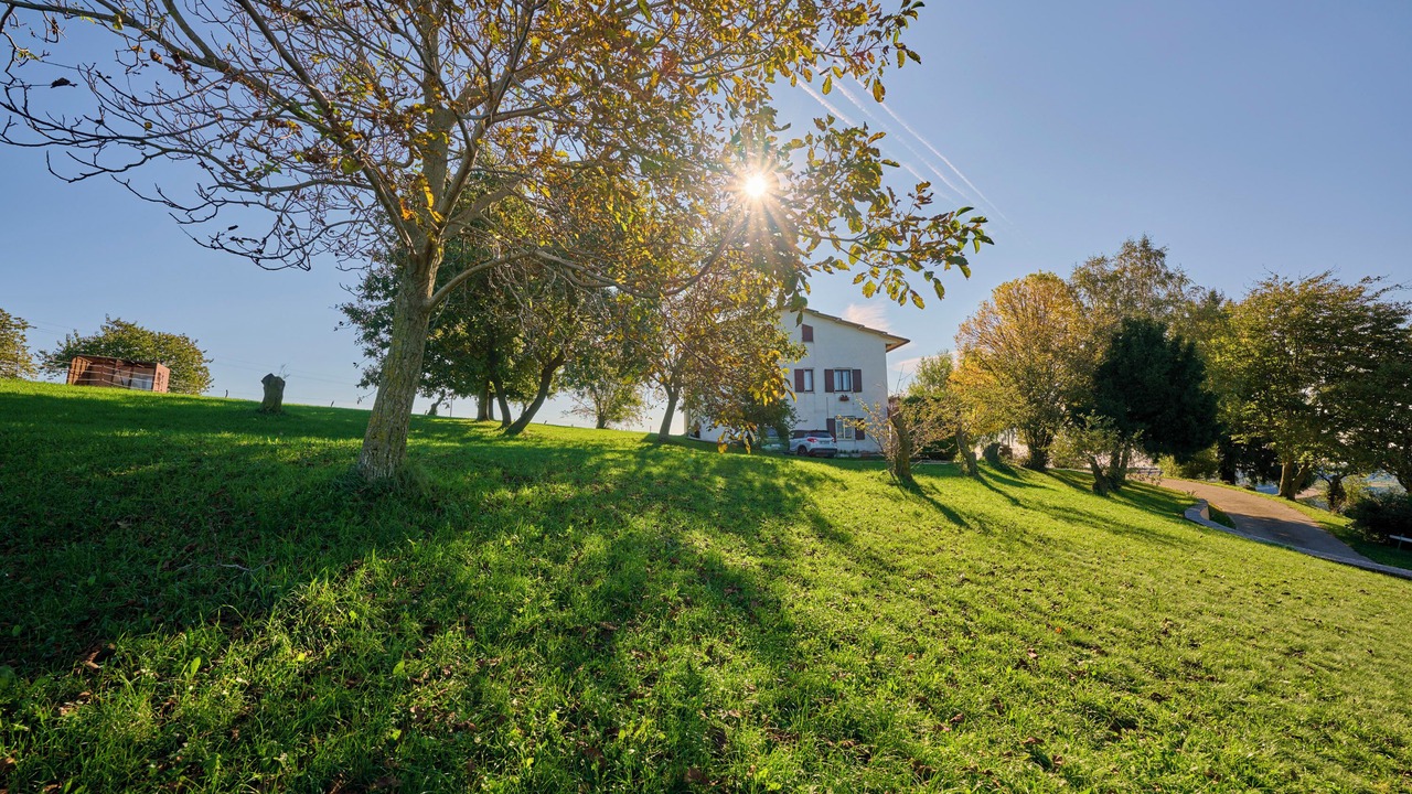 Photo of Outdoor in Sant'Anna d'Alfaedo