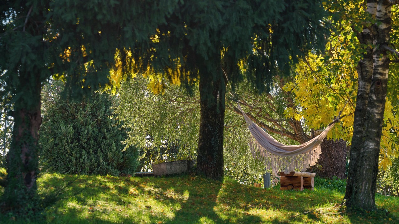 Photo of Outdoor in Sant'Anna d'Alfaedo