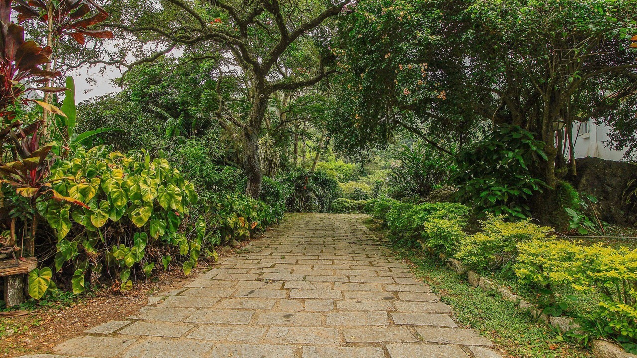 Photo of Outdoor in Fazenda Inglesa