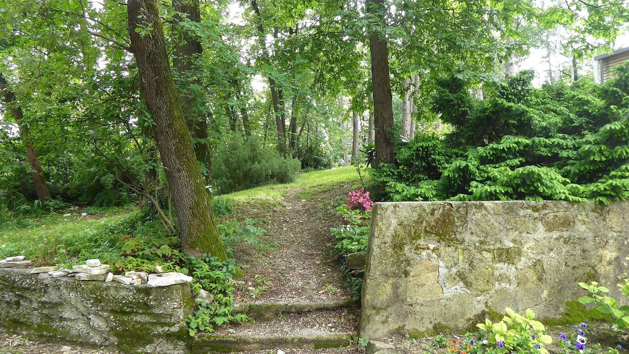 Photo of Outdoor in Teolo