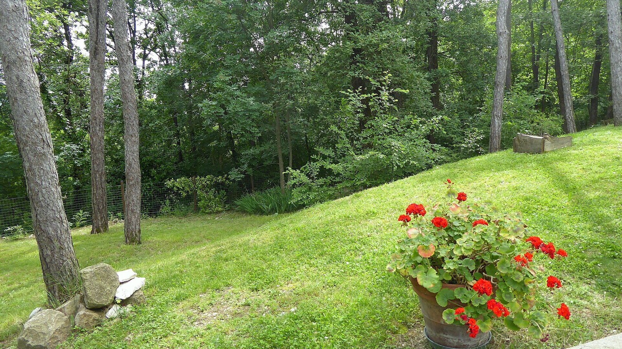 Photo of Outdoor in Teolo