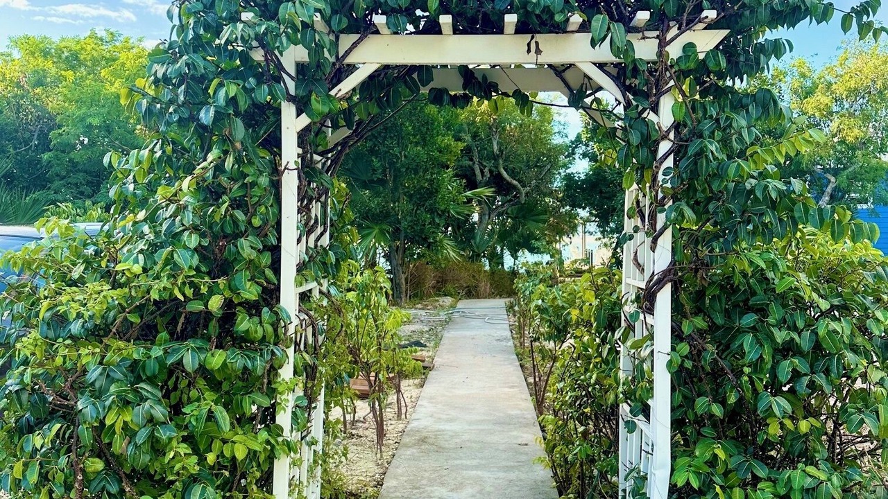 Photo of Outdoor in George Town