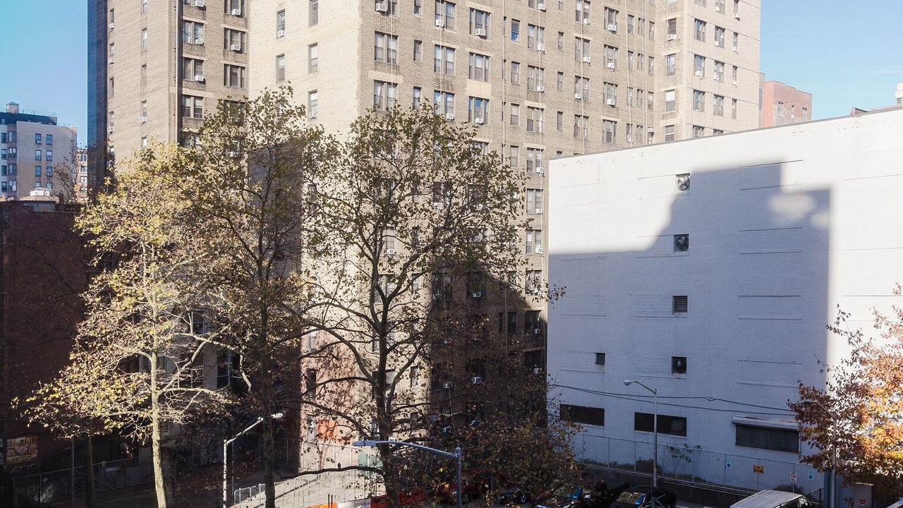 Photo of Others in Manhattan Valley