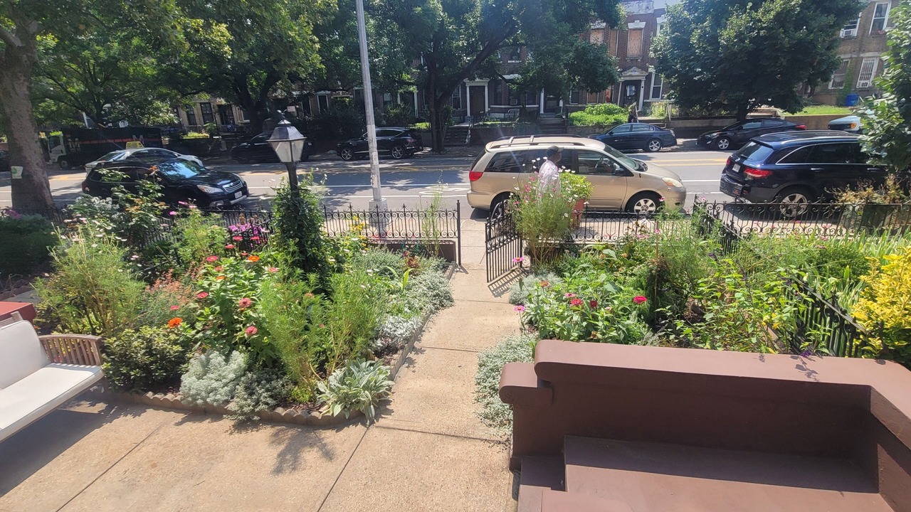 Photo of Others in Crown Heights
