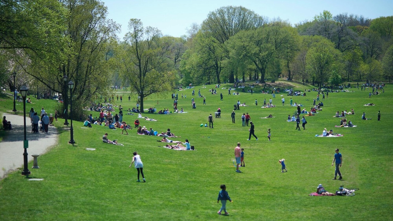 Photo of Others in Crown Heights