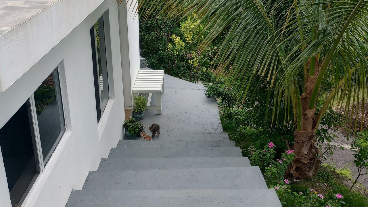 Photo of Outdoor in Runaway Bay