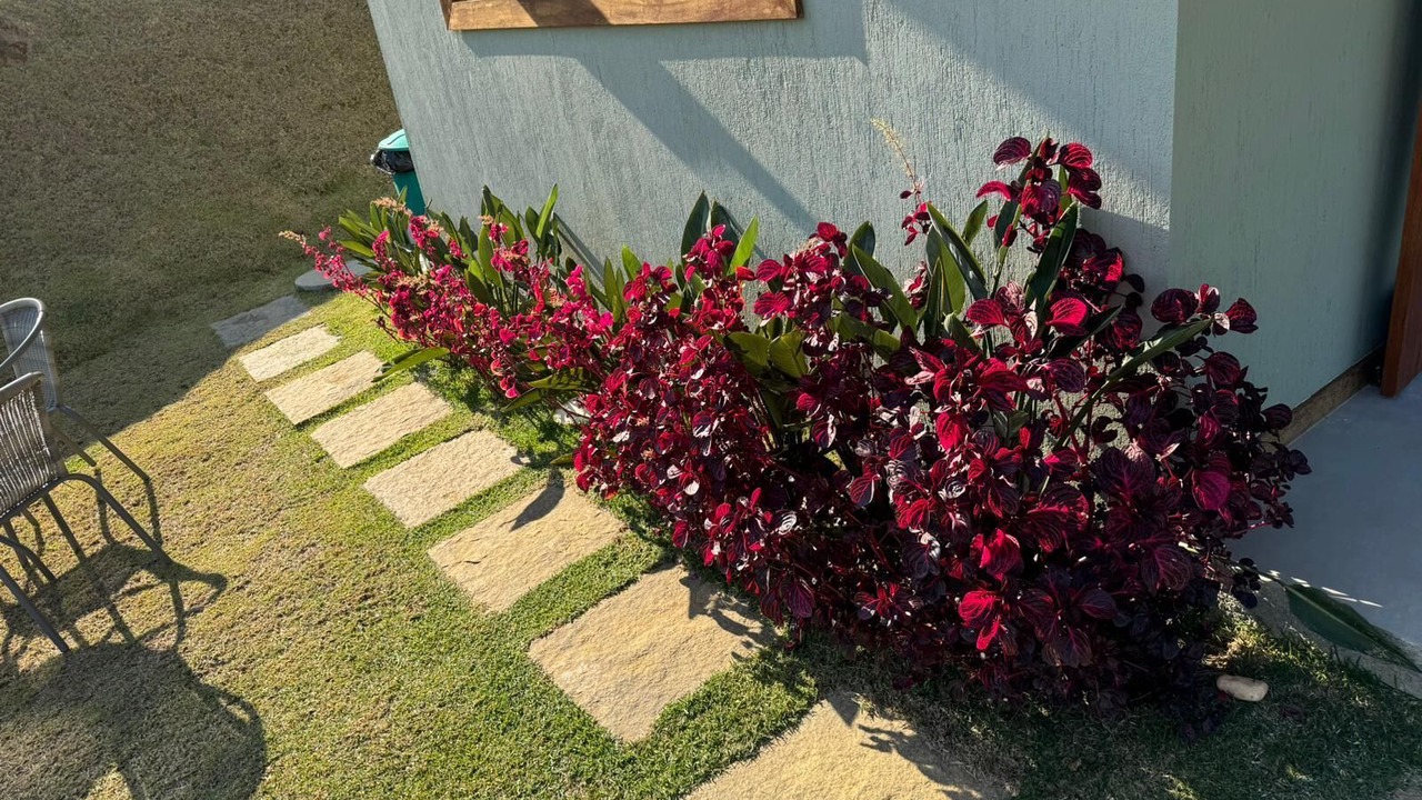Photo of Outdoor in Araras