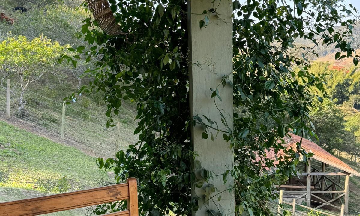 Photo of Outdoor in Araras