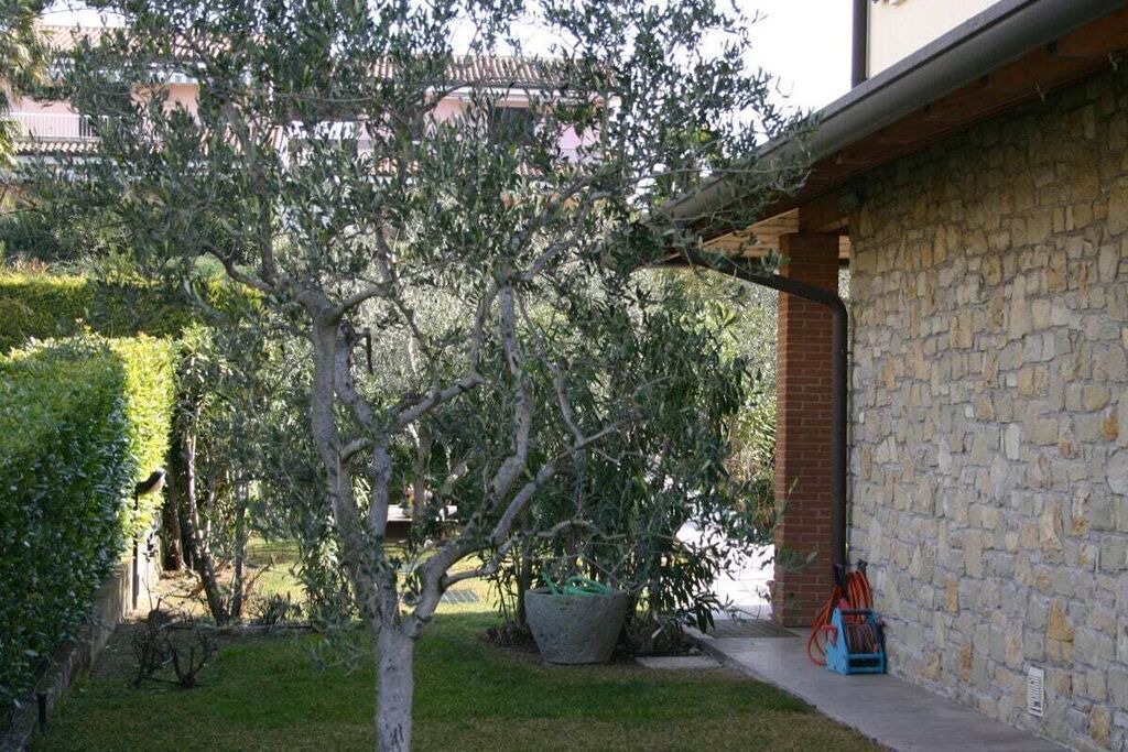 Photo of Outdoor in Montioni