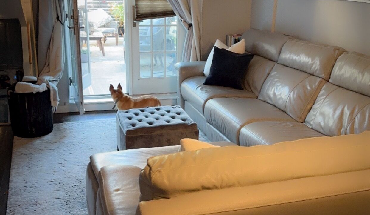 Photo of Livingroom in Bath Beach