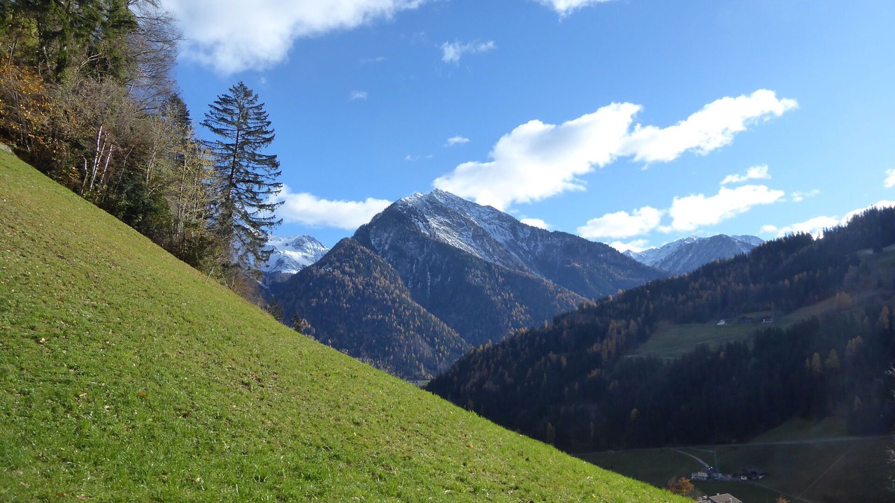 Photo of Others in Lozzo di Cadore