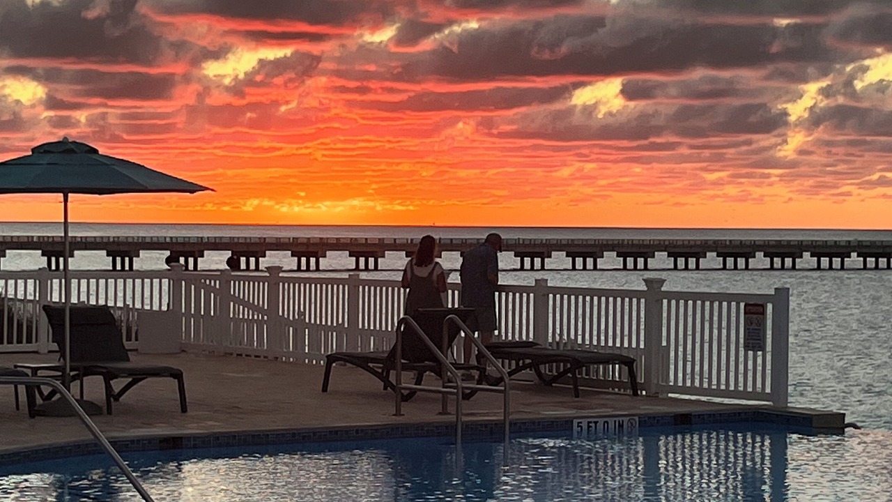 Photo of Outdoor in Alice Town