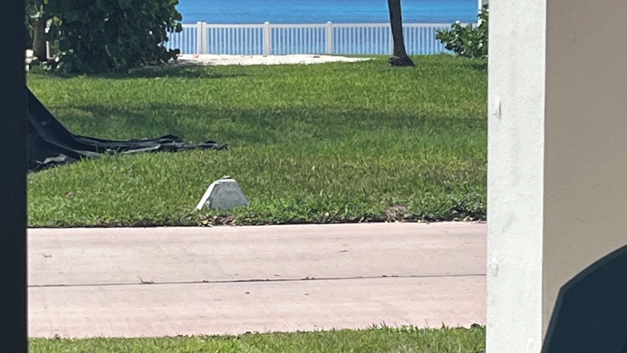 Photo of Outdoor in Alice Town