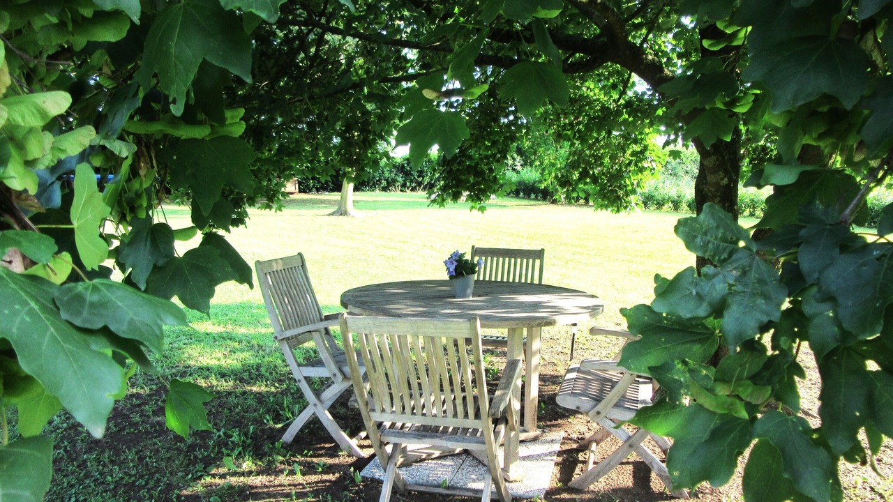 Photo of Outdoor in Santa Lucia di Piave