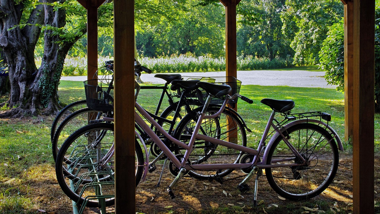 Photo of Outdoor in Santa Lucia di Piave