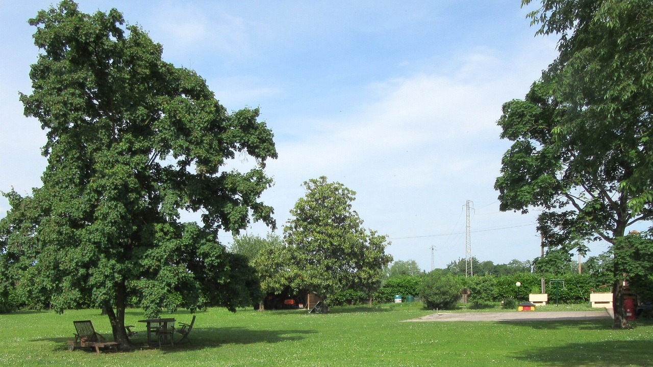 Photo of Outdoor in Santa Lucia di Piave