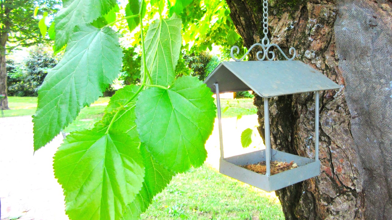 Photo of Outdoor in Santa Lucia di Piave