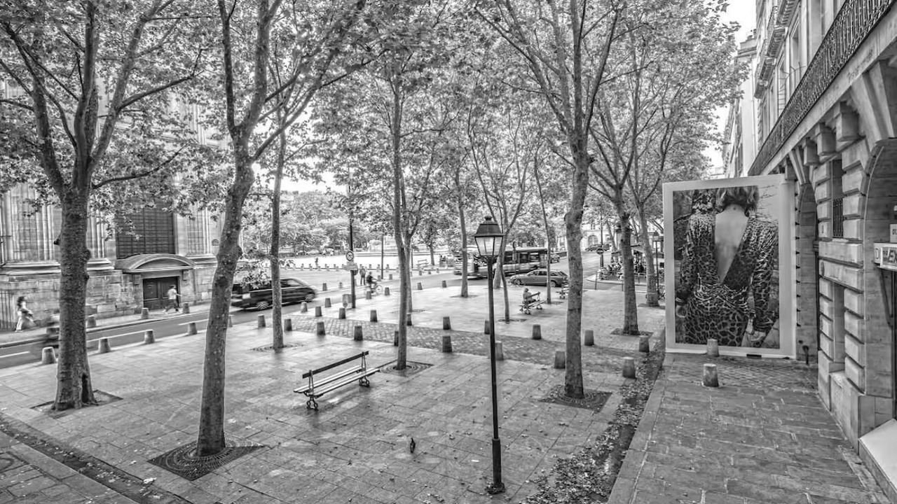 Photo of Others in 6th Arrondissement