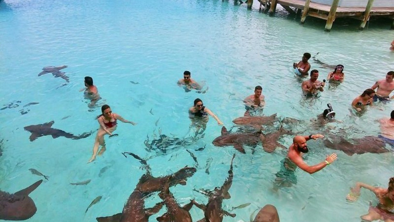 Photo of Others in Tar Bay