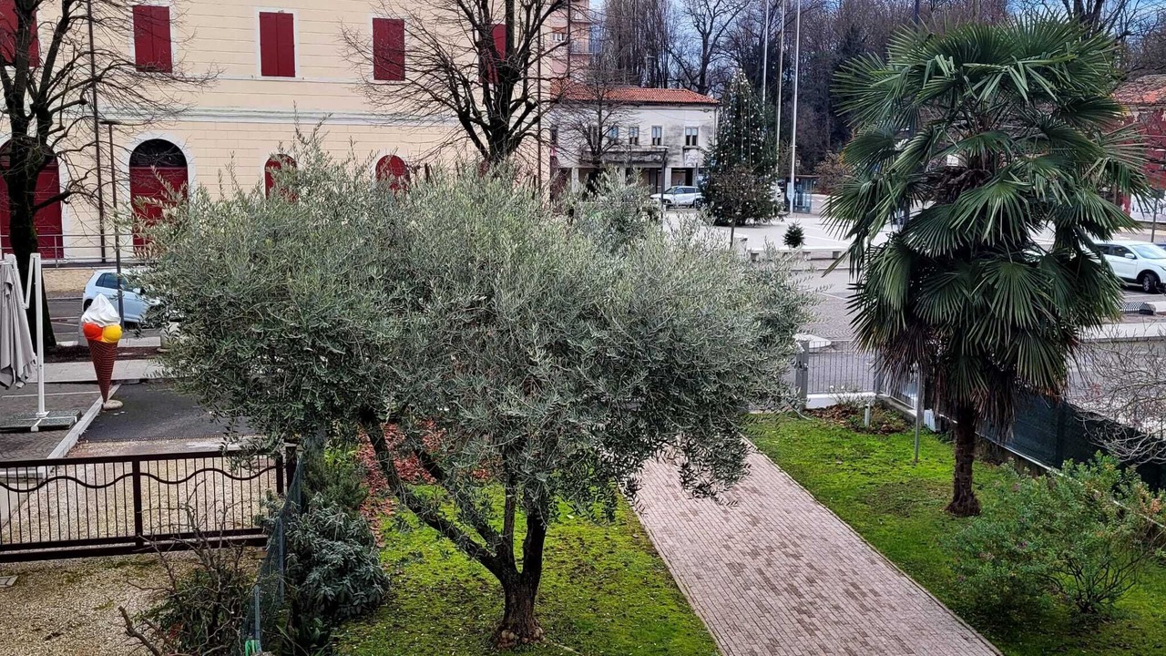 Photo of Outdoor in Scorze