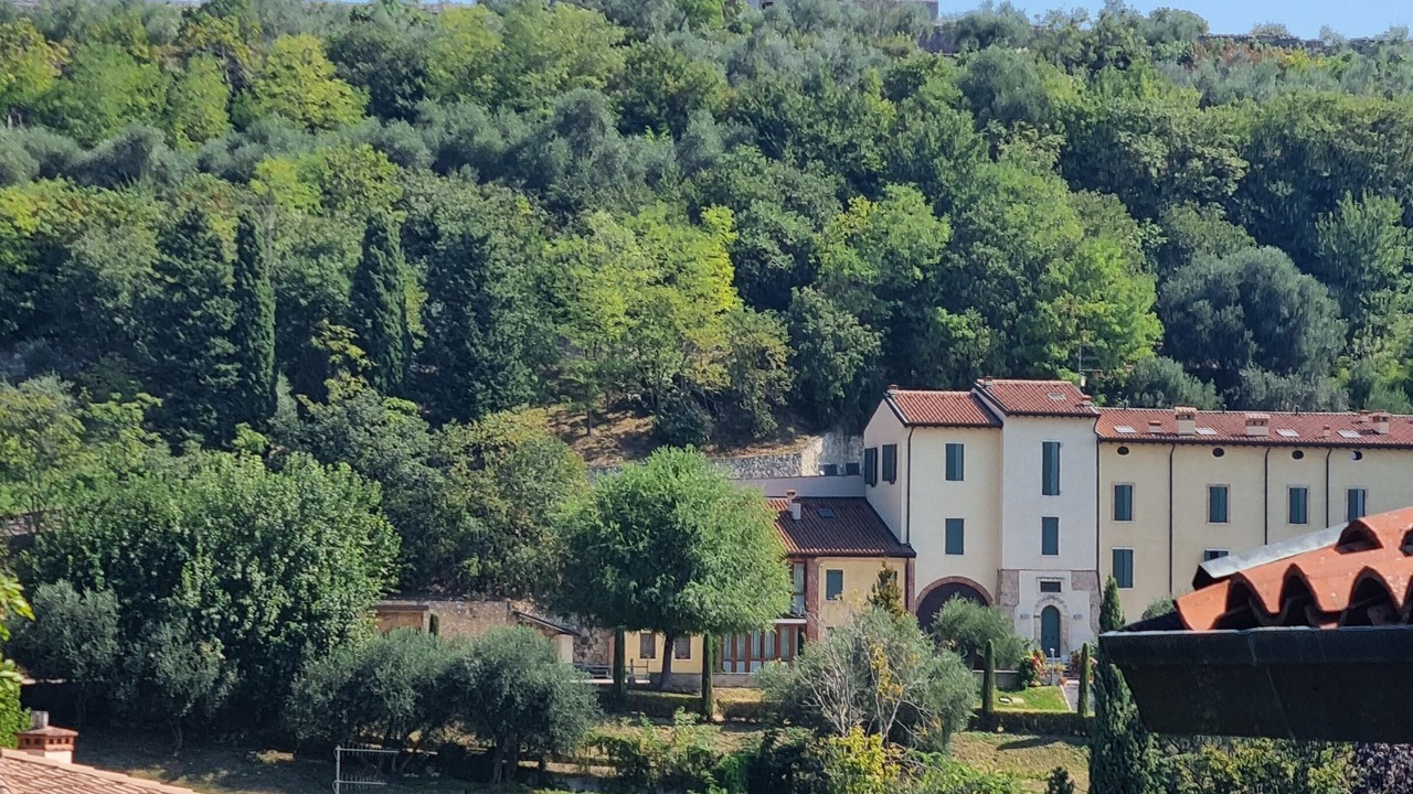 Photo of Others in Verona