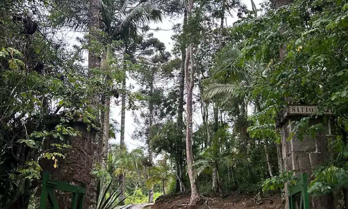 Photo of Others in Teresopolis
