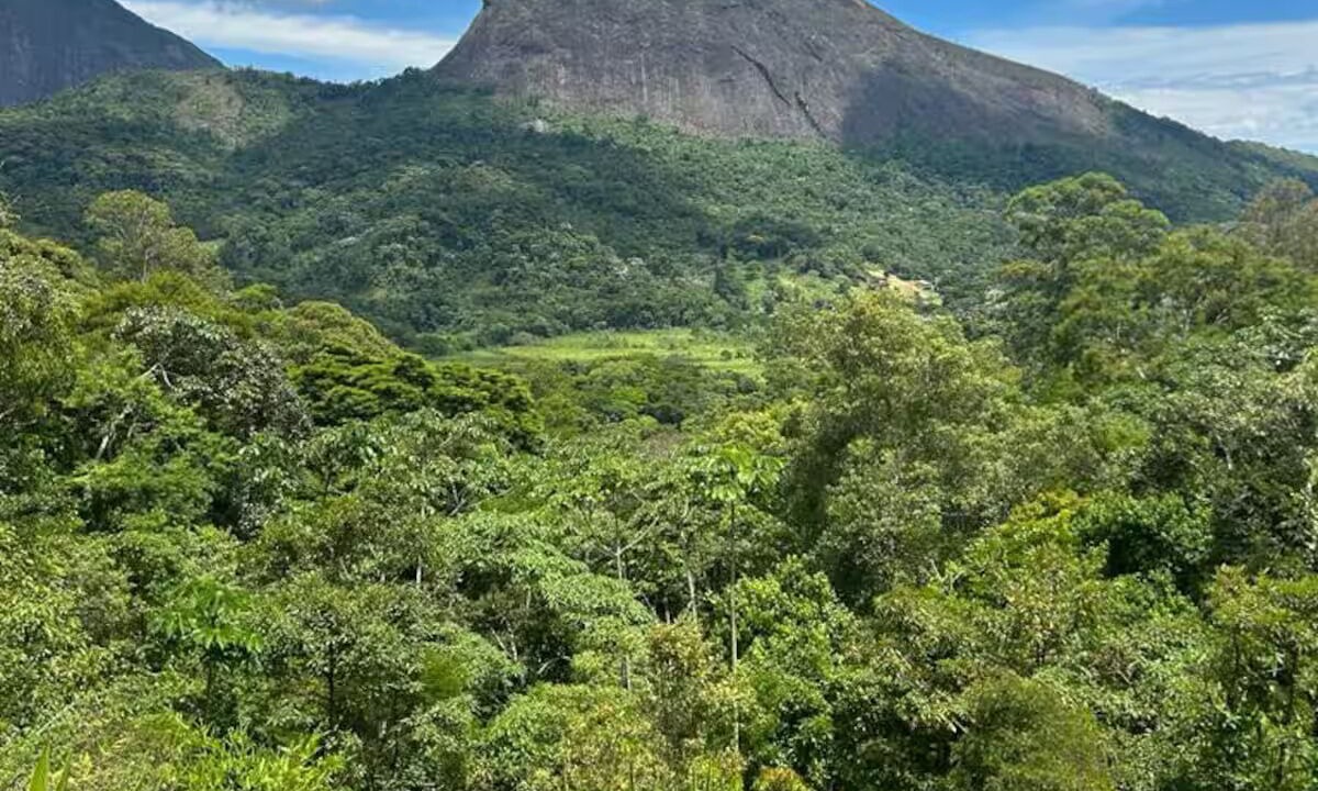 Photo of Others in Teresopolis