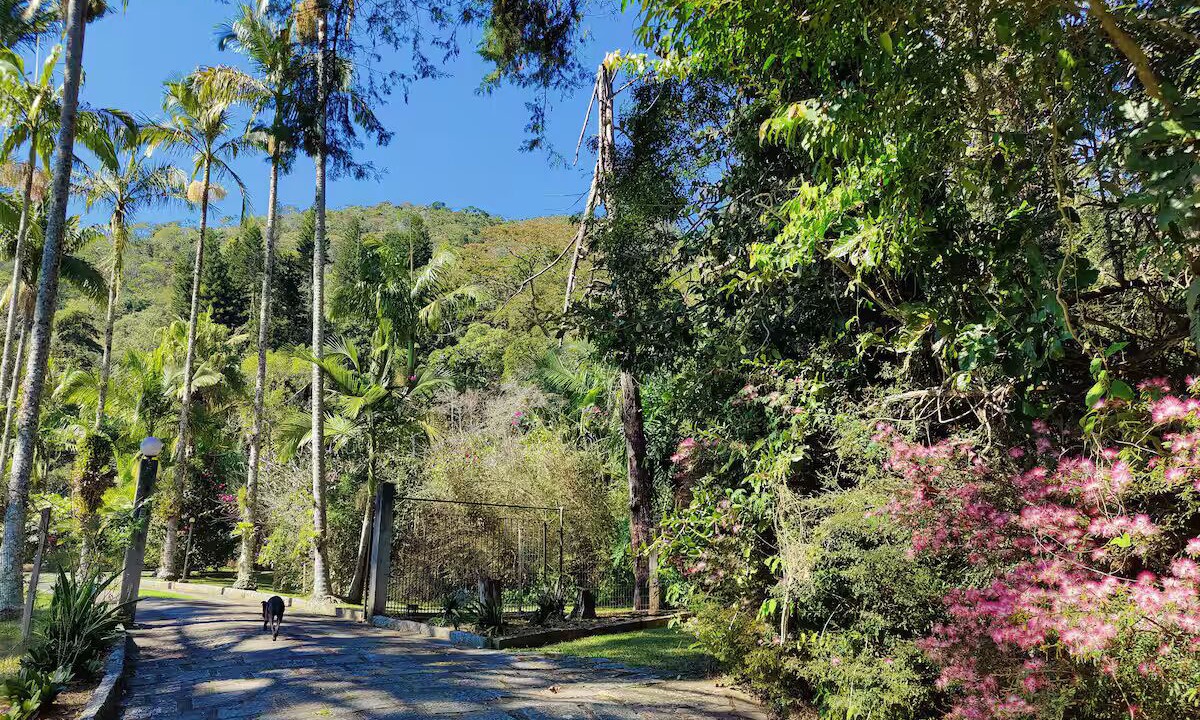 Photo of Others in Teresopolis
