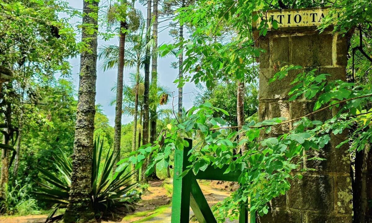 Photo of Outdoor in Teresopolis