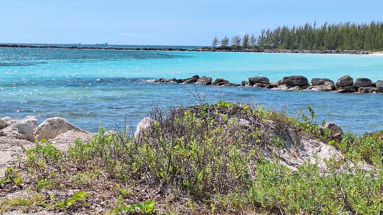 Photo of Others in Bahamas Terrace