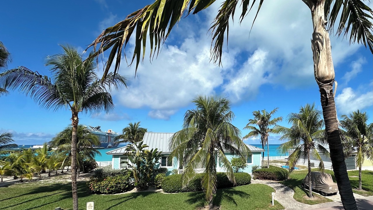 Photo of Outdoor in Alice Town