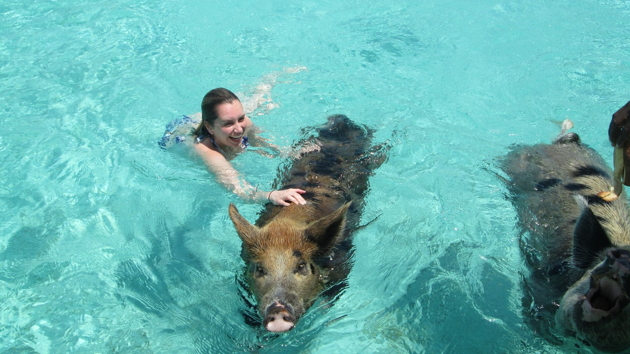 Photo of Others in Great Exuma
