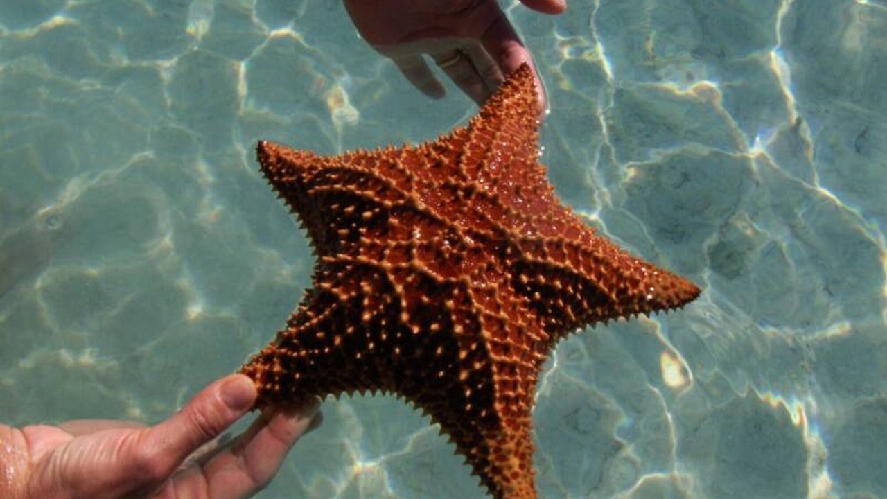 Photo of Others in Great Exuma