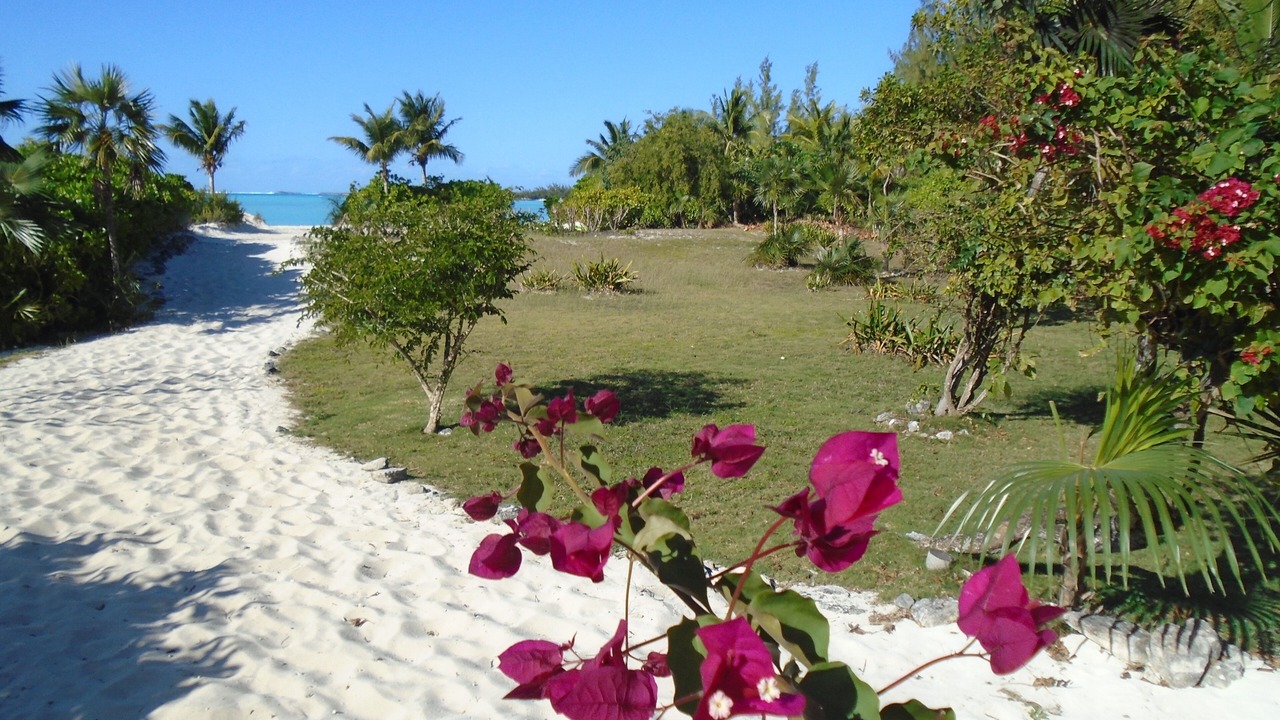 Photo of Others in Great Exuma