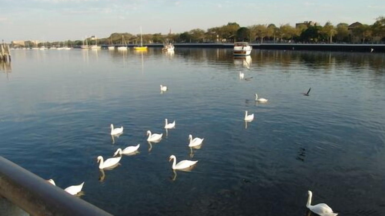 Photo of Others in Sheepshead Bay