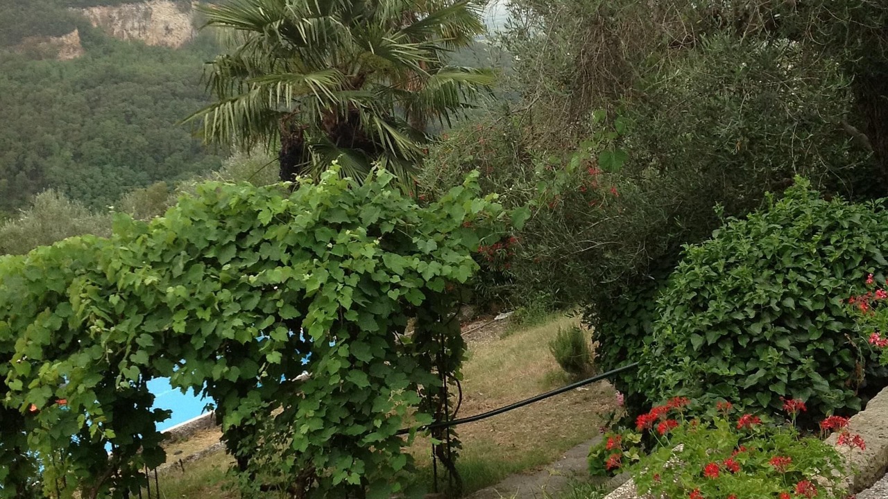 Photo of Outdoor in Cinto Euganeo