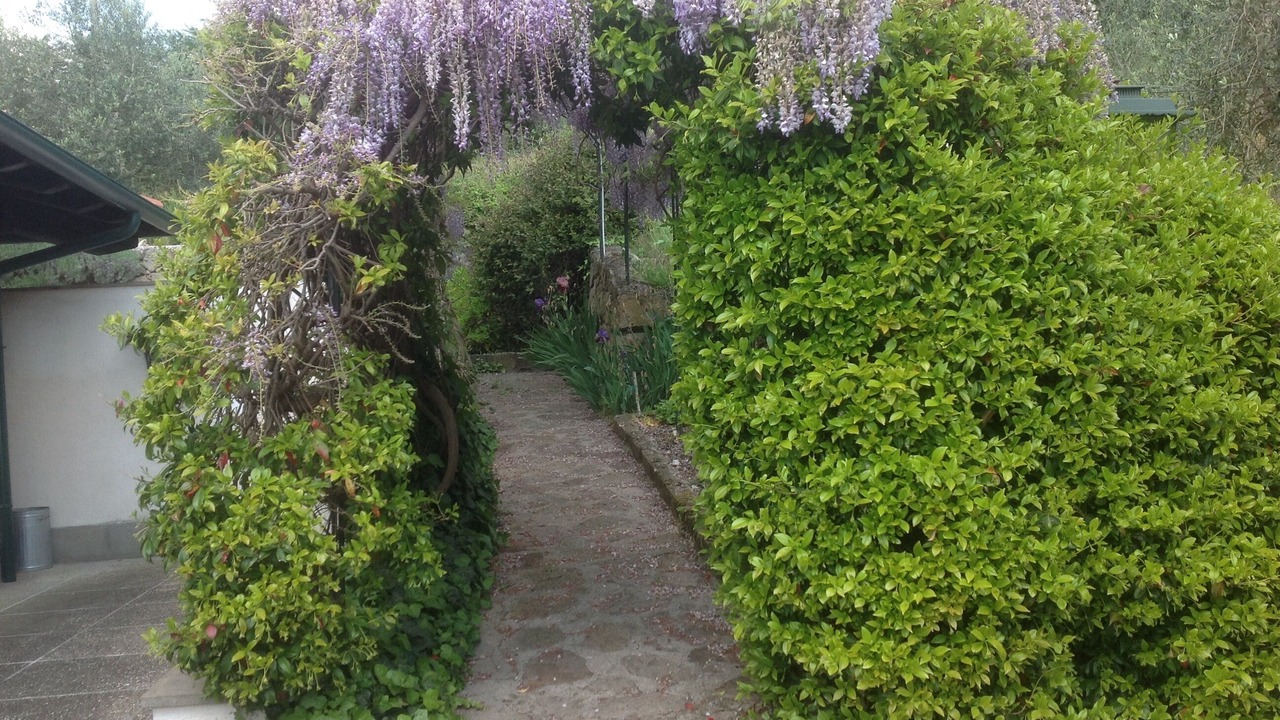 Photo of Outdoor in Cinto Euganeo