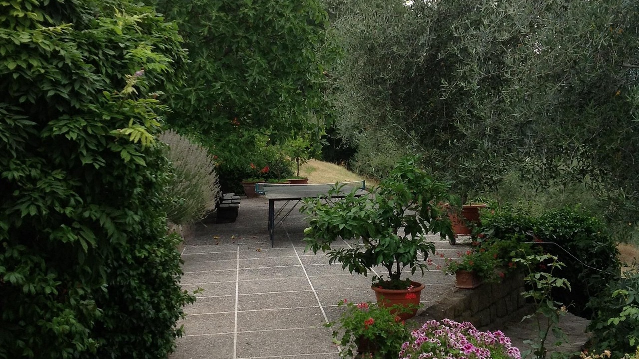 Photo of Outdoor in Cinto Euganeo