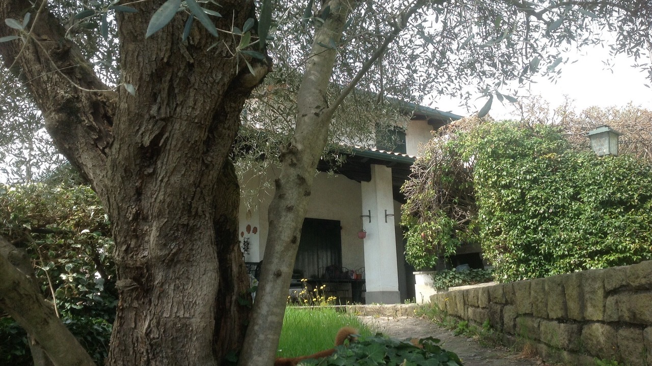 Photo of Outdoor in Cinto Euganeo