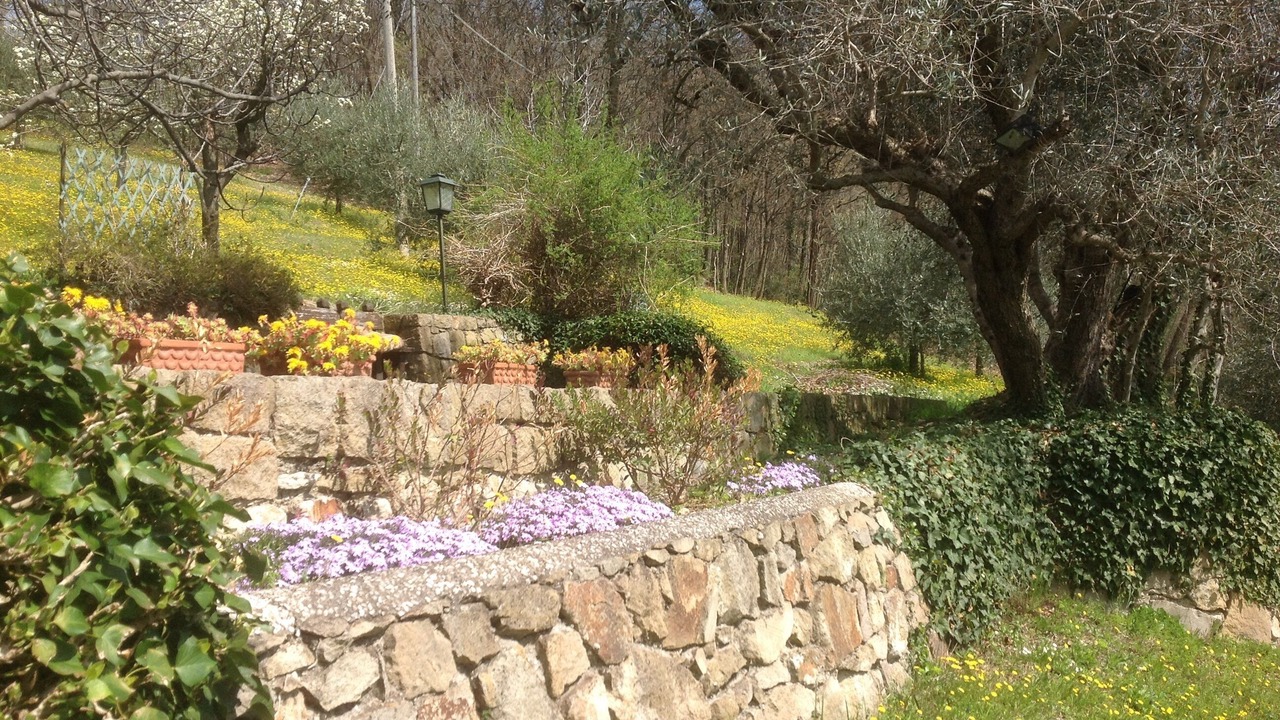 Photo of Outdoor in Cinto Euganeo