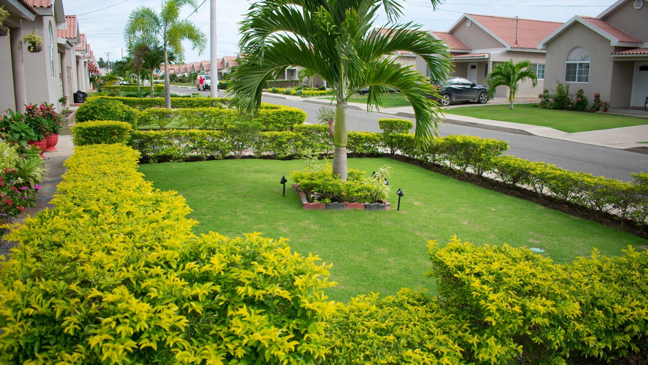 Photo of Outdoor in Kingston