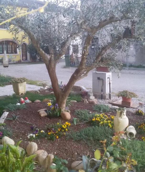 Photo of Outdoor in Valeggio sul Mincio