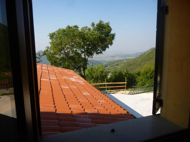 Photo of Others in Cinto Euganeo