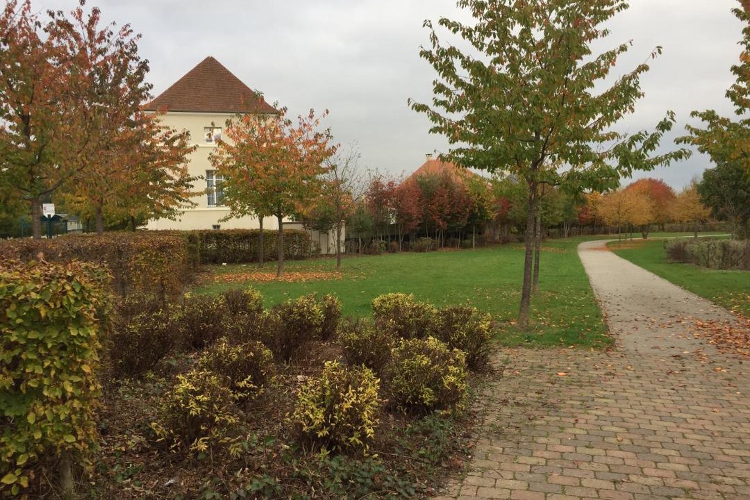 Photo of Others in Magny-le-Hongre