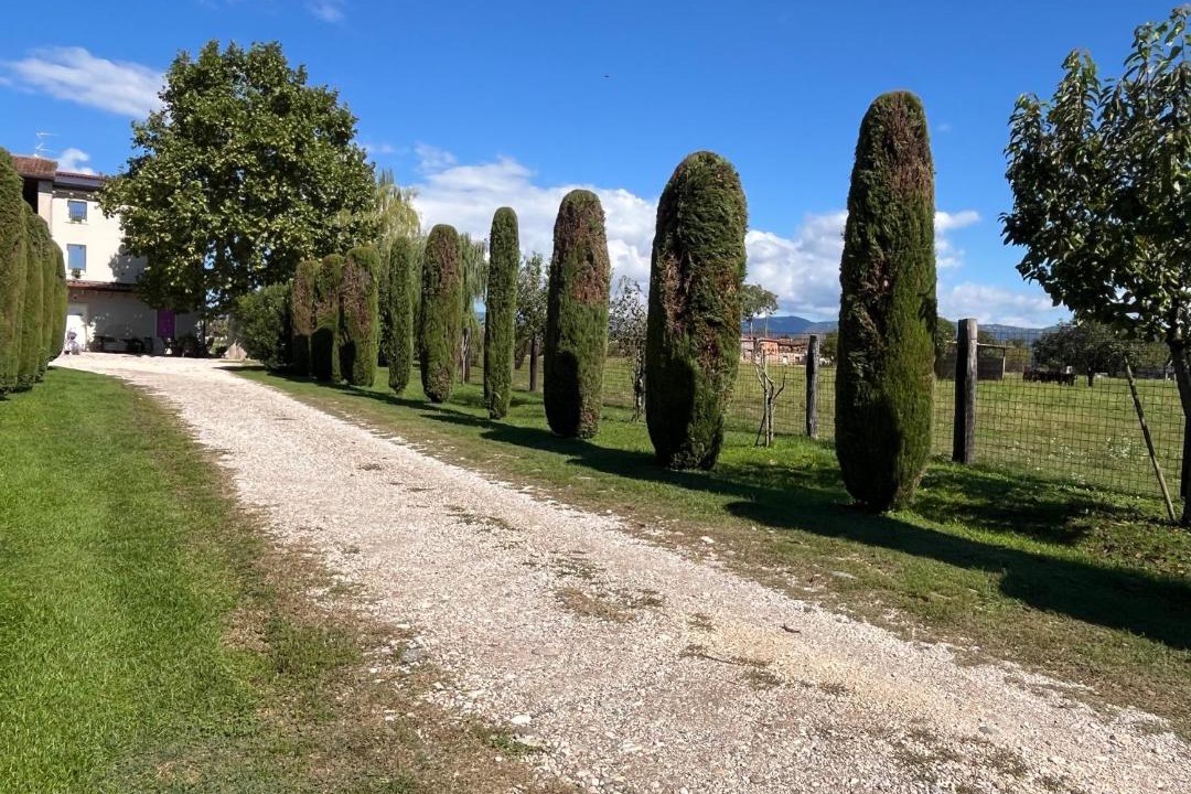 Photo of Others in Pescantina