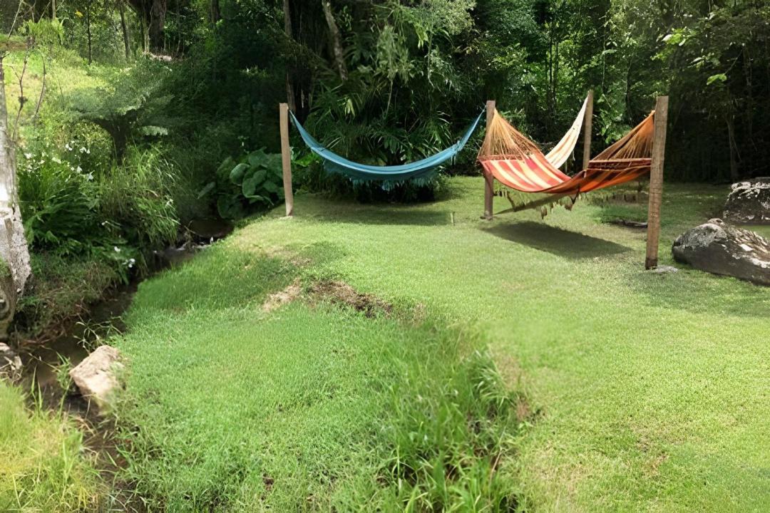 Photo of Others in Itatiaia