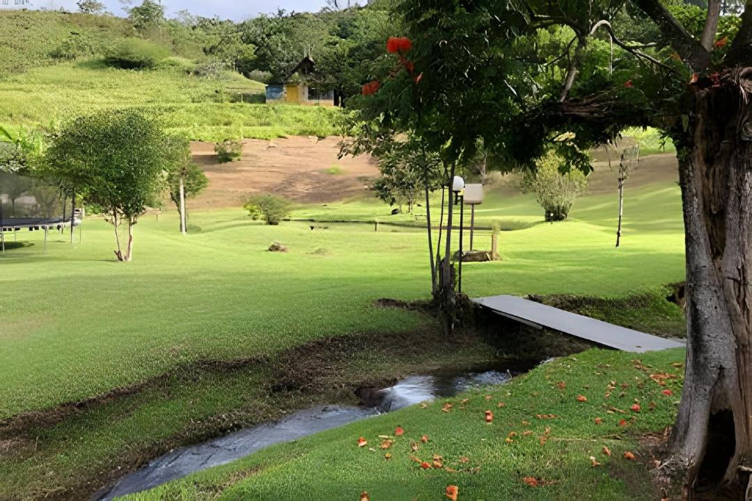 Photo of Others in Itatiaia